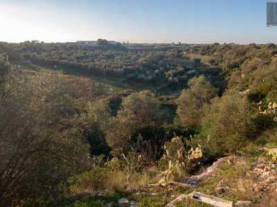 Giriamo a destra, godendo di una vista invidiabile: da qui il letto si mostra in tutto il suo splendore, "offrendo" campi coltivati, muretti a secco e piante di fichi